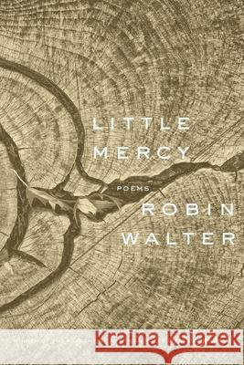 Little Mercy: Poems Robin Walter 9781644453308 Graywolf Press