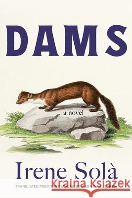 Dams Irene Sol? 9781644454237