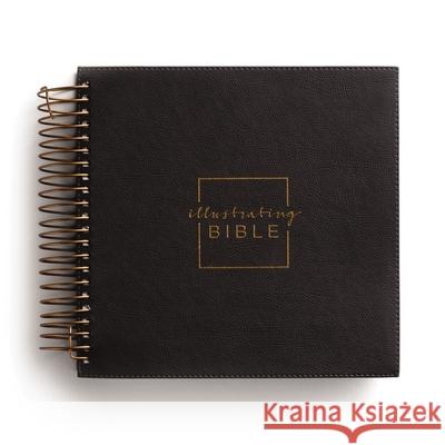 Illustrating Bible NIV Dark Grey Dayspring 9781644548745