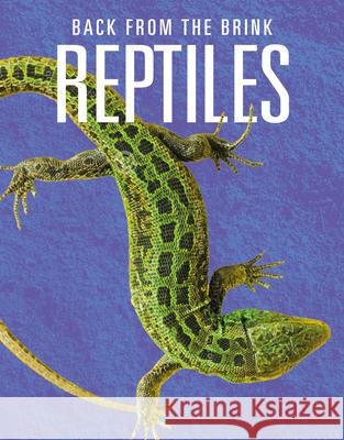 Reptiles: Back from the Brink Joanne Mattern 9781644668320 Black Rabbit Books