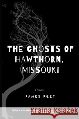 The Ghosts of Hawthorn, Missouri James Peet 9781644670514