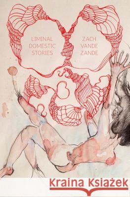 Liminal Domestic Zach Vandezande 9781644672259 Gold Wake Press Collective