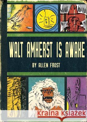 Walt Amherst is Awake Frost, Allen 9781644674666