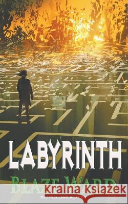 Labyrinth Blaze Ward   9781644703564 Knotted Road Press