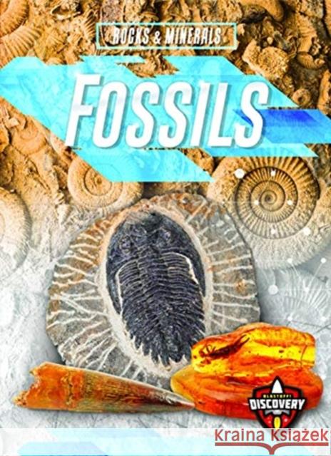 Fossils Patrick Perish 9781644870730 Blastoff! Discovery