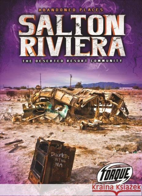 Salton Riviera: The Deserted Resort Community Lisa Owings 9781644871638 Torque