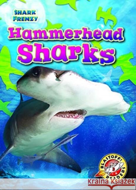 Hammerhead Sharks Rebecca Pettiford 9781644872468 Bellwether Media