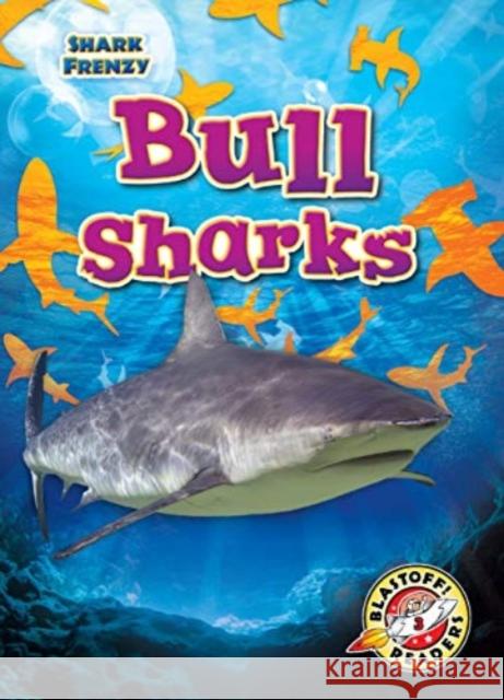 Bull Sharks Rebecca Pettiford 9781644874387 Bellwether Media