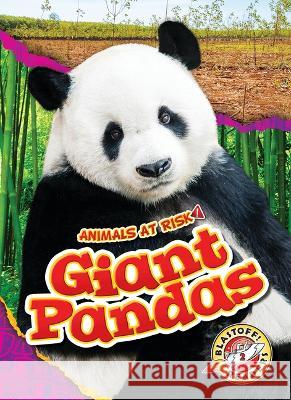 Giant Pandas Rachel Grack 9781644875889 Blastoff! Readers