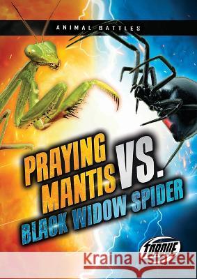 Praying Mantis vs. Black Widow Spider Kieran Downs 9781644876251