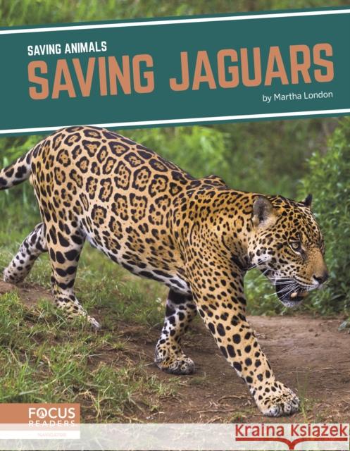 Saving Jaguars Martha London 9781644933879 North Star Editions