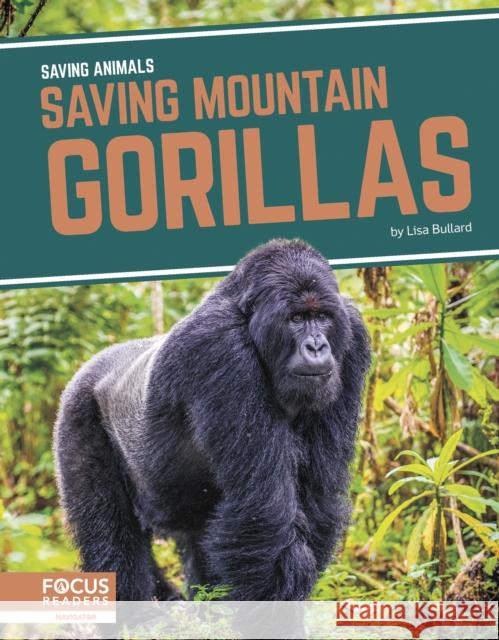 Saving Animals: Saving Mountain Gorillas Lisa Bullard 9781644934647