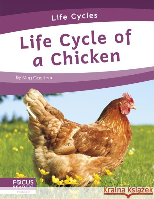 Life Cycle of a Chicken Meg Gaertner 9781644938270