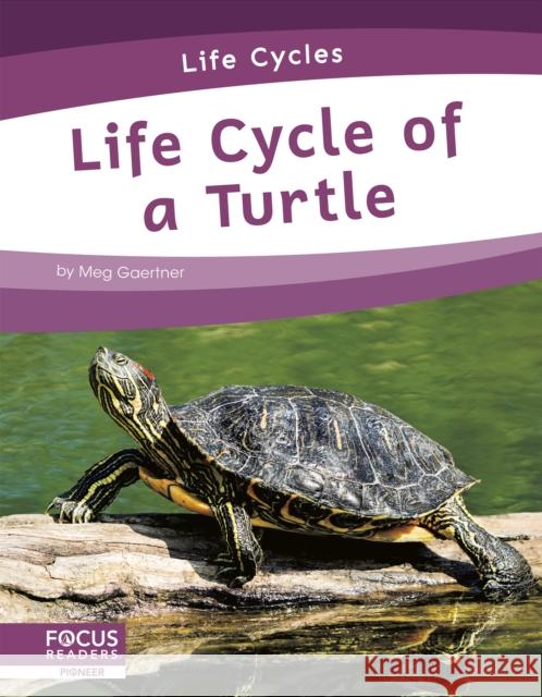 Life Cycle of a Turtle Meg Gaertner 9781644938331 
