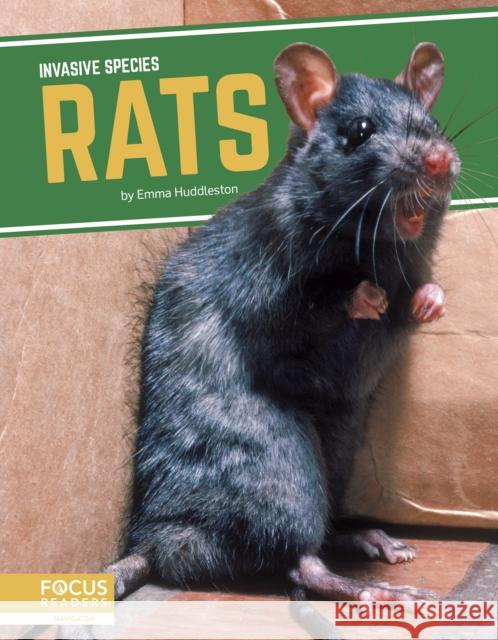 Rats Emma Huddleston 9781644938577 Focus Readers