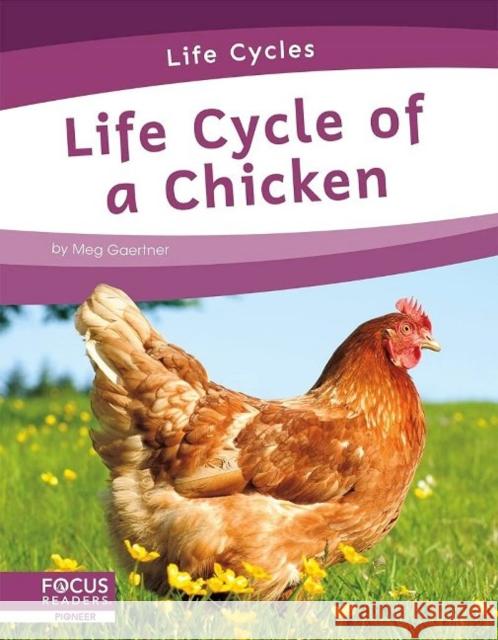 Life Cycles: Life Cycle of a Chicken Meg Gaertner 9781644938737