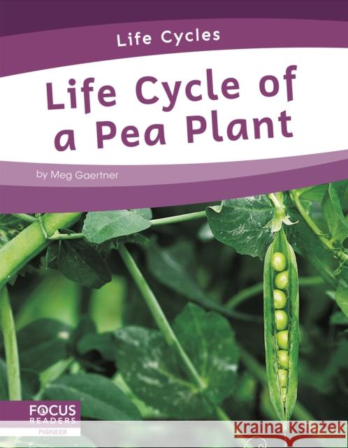 Life Cycle of a Pea Plant Meg Gaertner 9781644938751 Focus Readers