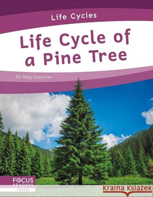 Life Cycle of a Pine Tree Meg Gaertner 9781644938768 North Star Editions