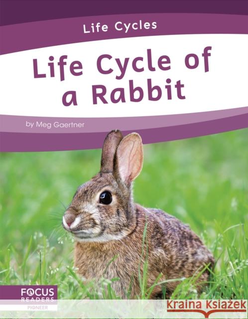 Life Cycles: Life Cycle of a Rabbit Meg Gaertner 9781644938775