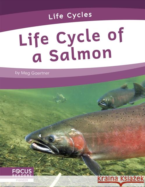 Life Cycle of a Salmon Meg Gaertner 9781644938782