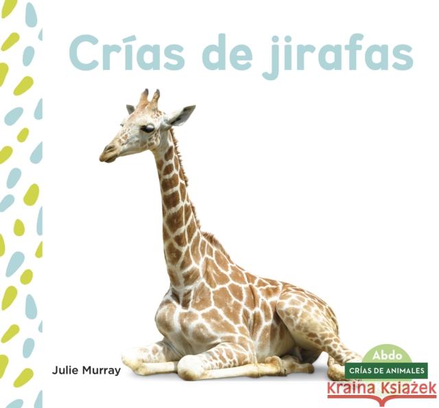 Crias de jirafas (Giraffe Calves) Julie Murray   9781644941263 North Star Editions