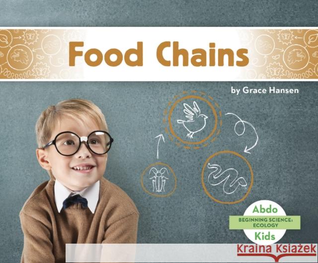 Food Chains Grace Hansen 9781644942673 North Star Editions