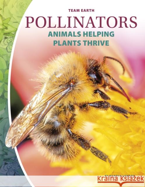 Pollinators Martha London 9781644943274 North Star Editions