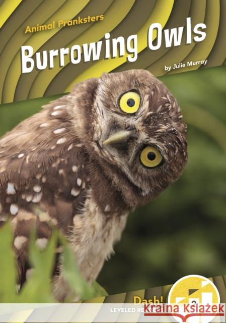 Burrowing Owls Julie Murray 9781644947609 North Star Editions