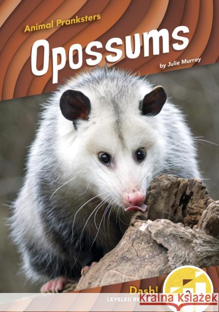 Opossums Julie Murray 9781644947623 North Star Editions