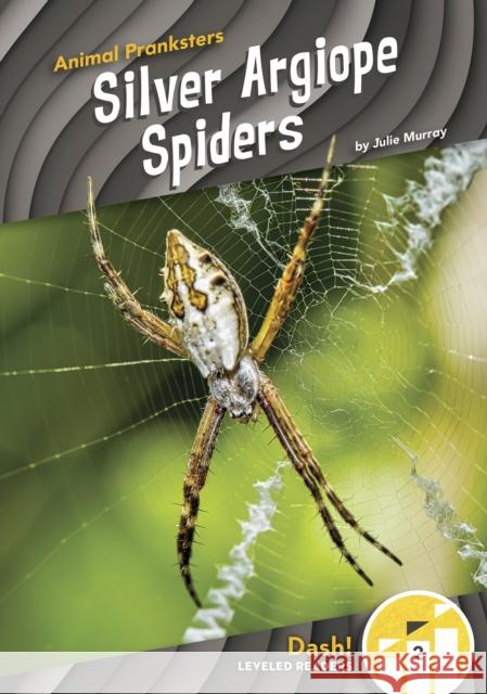 Silver Argiope Spiders Julie Murray 9781644947630 North Star Editions