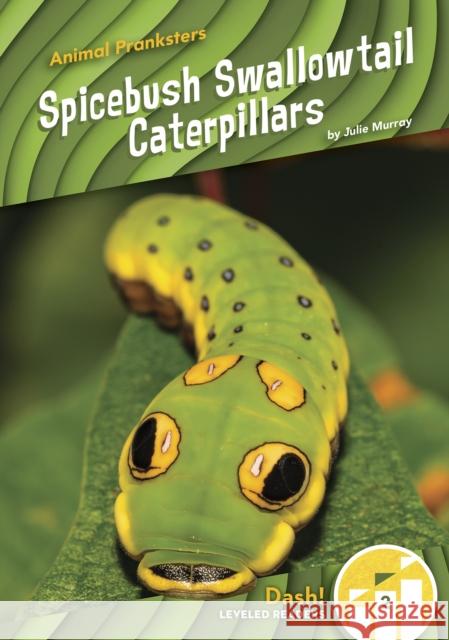 Spicebush Swallowtail Caterpillars Julie Murray 9781644947647 North Star Editions