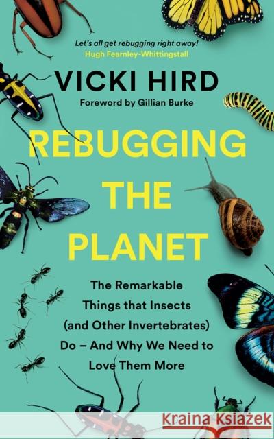 Rebugging the Planet: The Remarkable Things that Insects (and Other Invertebrates) Do - And Why We Need to Love Them More Vicki Hird 9781645020189 Chelsea Green Publishing Co