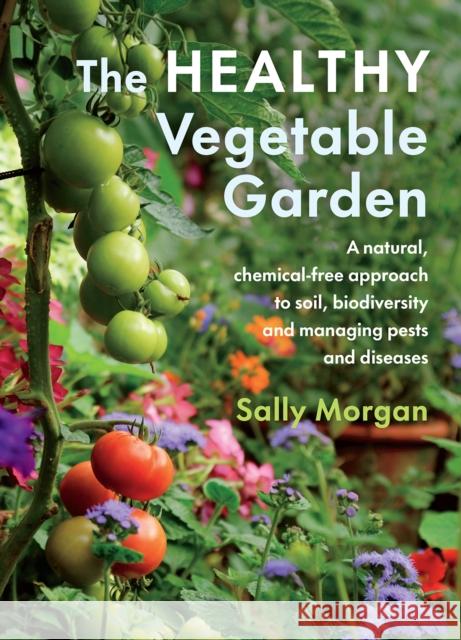 The Healthy Vegetable Garden: A natural, chemical-free approach to soil, biodiversity and managing pests and diseases Sally Morgan 9781645020646 Chelsea Green Publishing Co