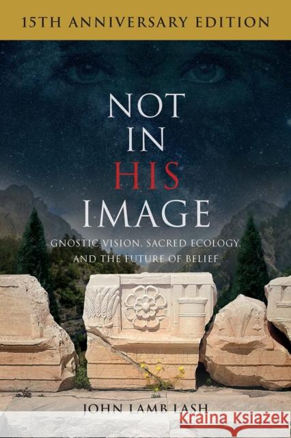 Not in His Image (15th Anniversary Edition): Gnostic Vision, Sacred Ecology, and the Future of Belief John Lamb Lash 9781645021360 Chelsea Green Publishing Co