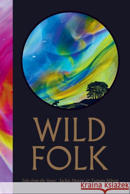 Wild Folk: Tales from the Stones Tamsin Abbot 9781645024569