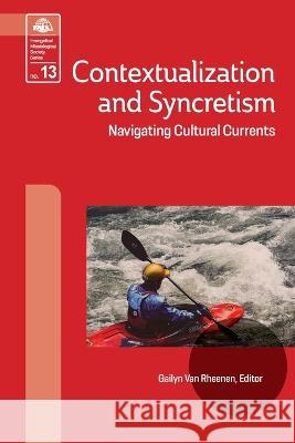 Contextualization and Syncretism: Navigating Cultural Currents Gailyn Van Rheenen   9781645085263
