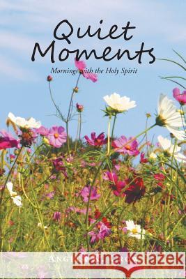 Quiet Moments: Mornings with the Holy Spirit Angela K. Crow 9781645153450 Christian Faith Publishing, Inc