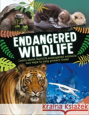 Endangered Wildlife Editors of Silver Dolphin Books 9781645175353 Silver Dolphin Books