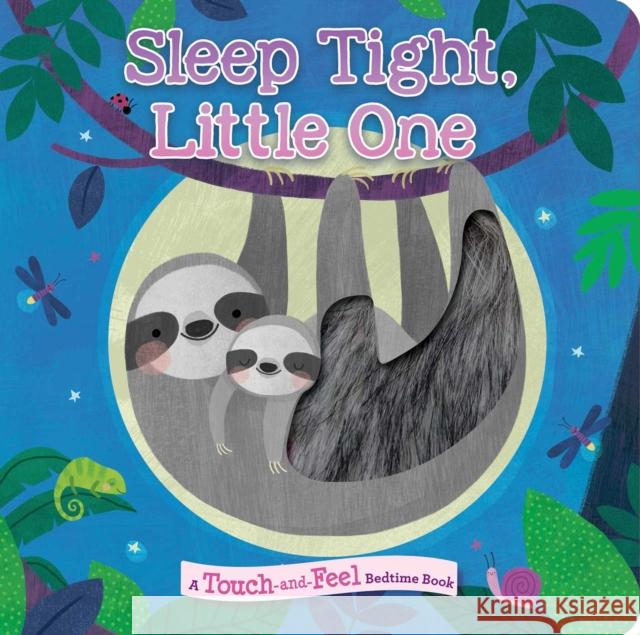 Sleep Tight, Little One Maggie Fischer Lindsay Dale-Scott 9781645176794 Silver Dolphin Books