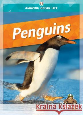 Penguins Colleen Sexton 9781645195627