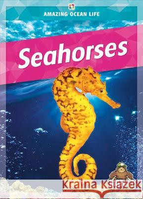 Seahorses Colleen Sexton 9781645195634