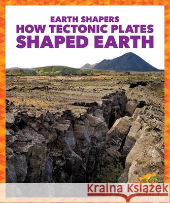 How Tectonic Plates Shaped Earth Jane P. Gardner 9781645271260 Pogo Books