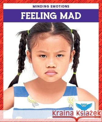 Feeling Mad Amber, Mlis Bullis 9781645271543 Blue Owl Books