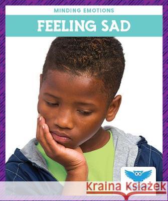 Feeling Sad Amber, Mlis Bullis 9781645271604 Blue Owl Books