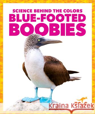 Blue-Footed Boobies Alicia Z. Klepeis 9781645275749