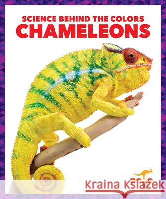 Chameleons Alicia Z. Klepeis 9781645275770 Pogo Books