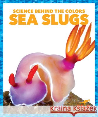 Sea Slugs Alicia Z. Klepeis 9781645275893