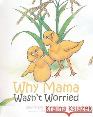 Why Mama Wasn't Worried Bhante Sila Kudagammana Heather L. Bumstead 9781645316008 Newman Springs Publishing, Inc.