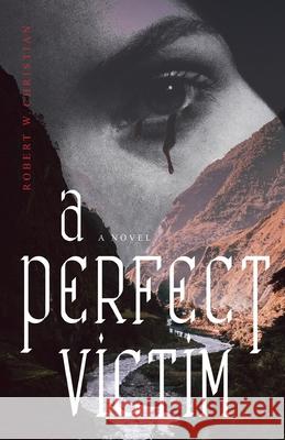 A Perfect Victim Robert W Christian 9781645383161 Ten16 Press