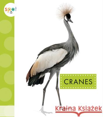 Cranes Lisa Amstutz 9781645490968